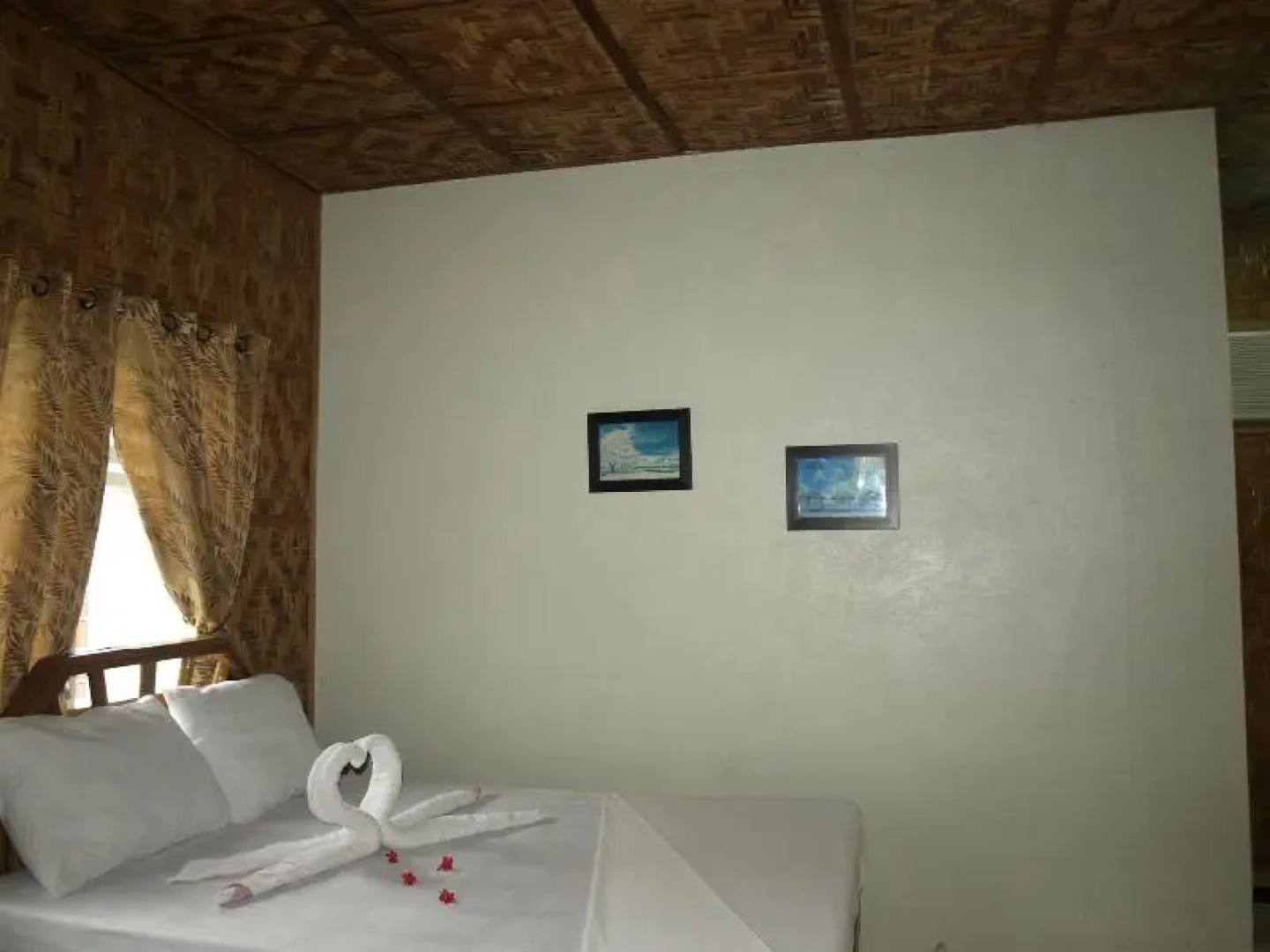 The Sharks Tail Dive Center