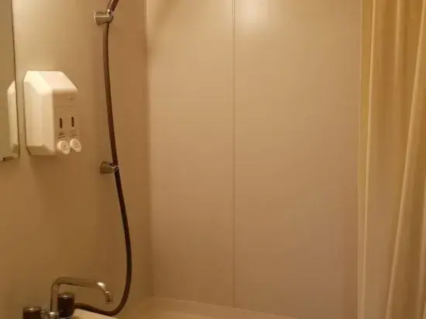 Business Hotel Miyako
