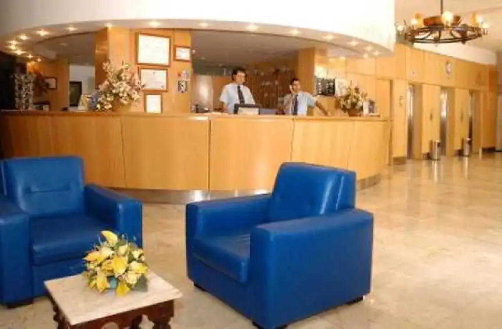 Elegance Palmeras Playa