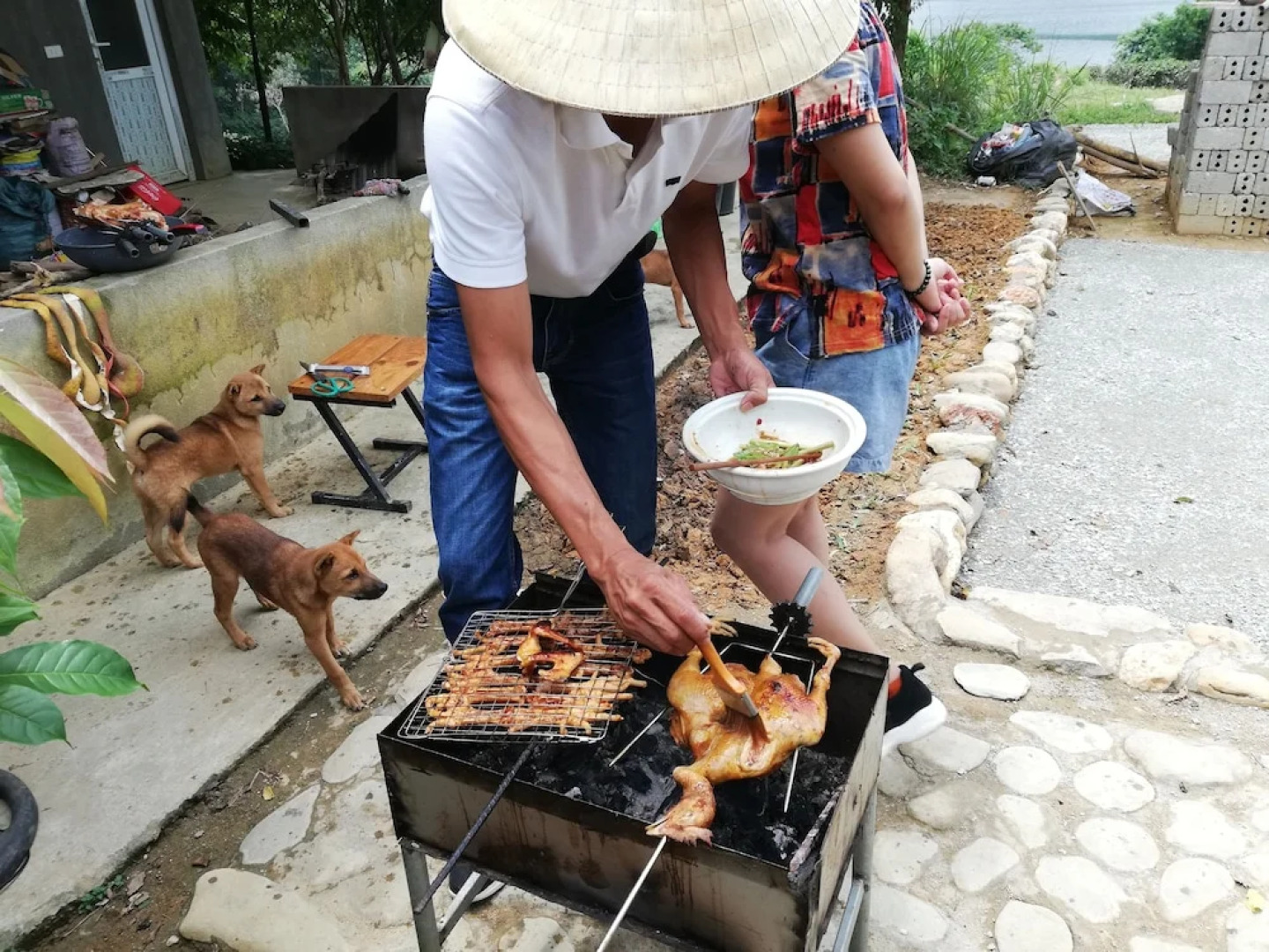 Gio Lao Eco Lodge - Hostel