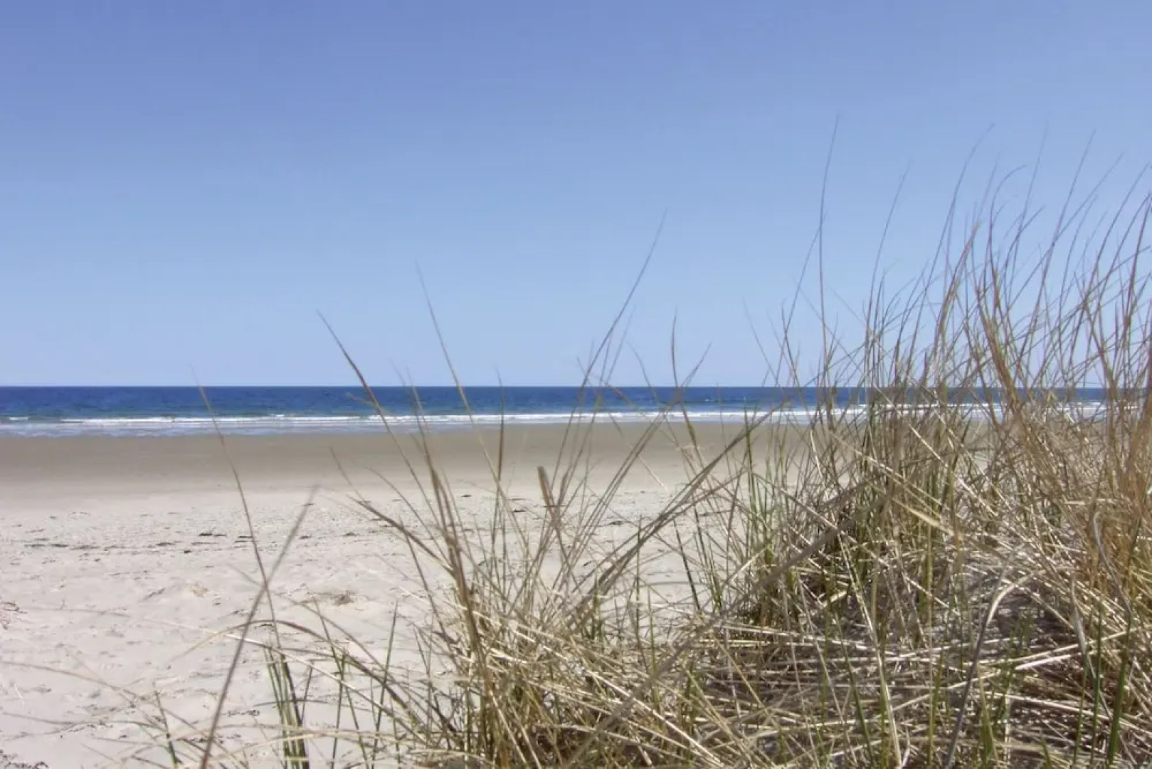 Carriage House Motel Cottages & Suites