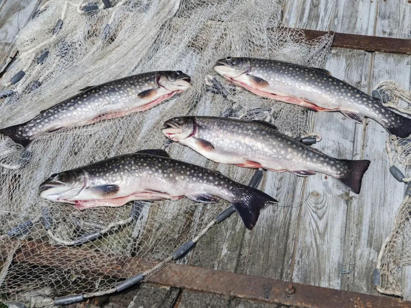 Secluded Apartment in Schönsee near Forest