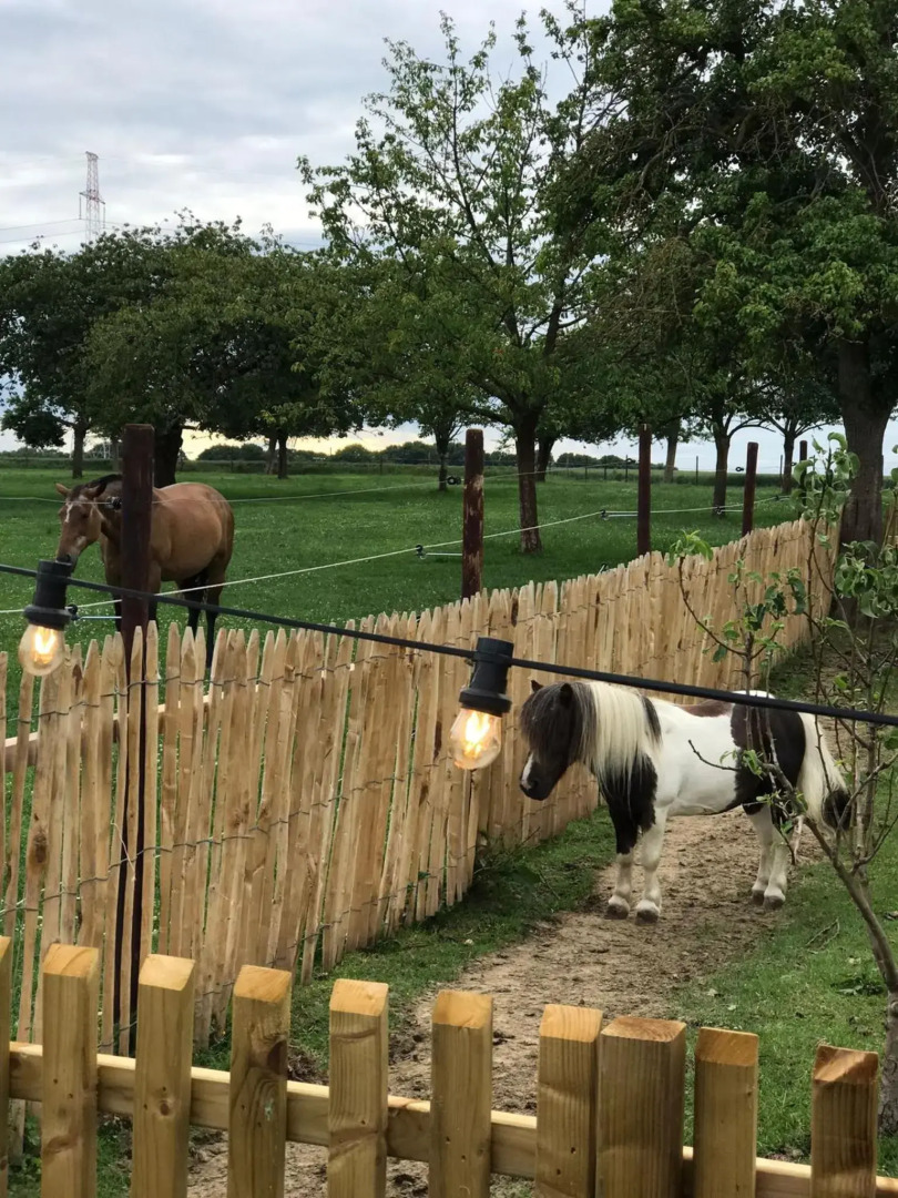 Tussen de paarden @ De Hoeveschuur