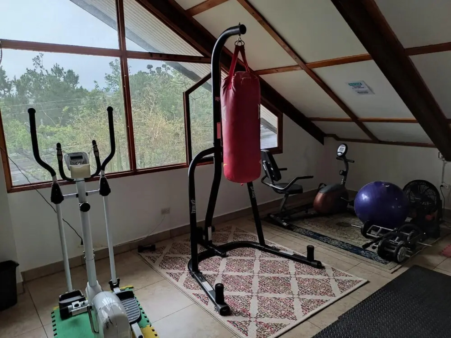 La Jungla Experience