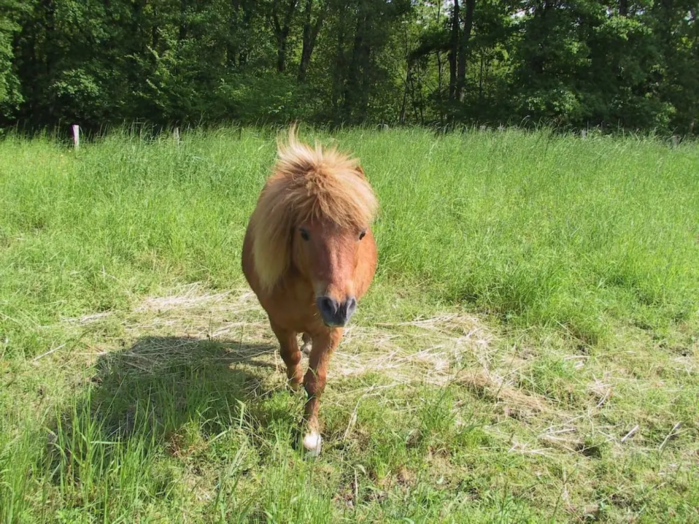 Gîte de La Huaudière