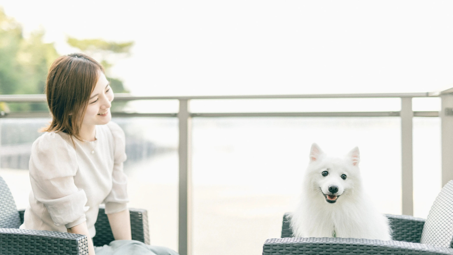 Pet Resort Brains Amakusa