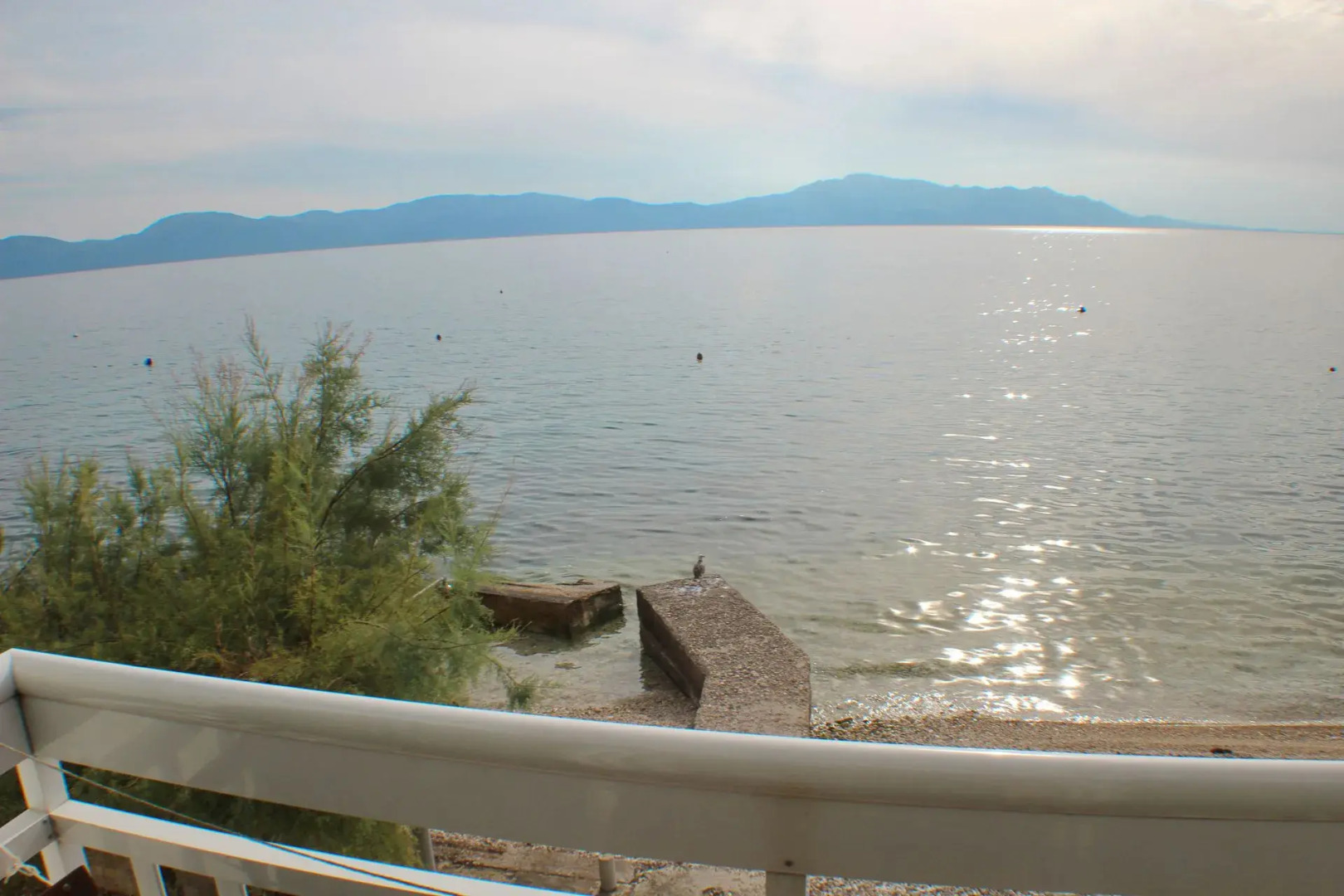 Apartment Bale - right at the beach: A1 Plaza Brist, Riviera Makarska