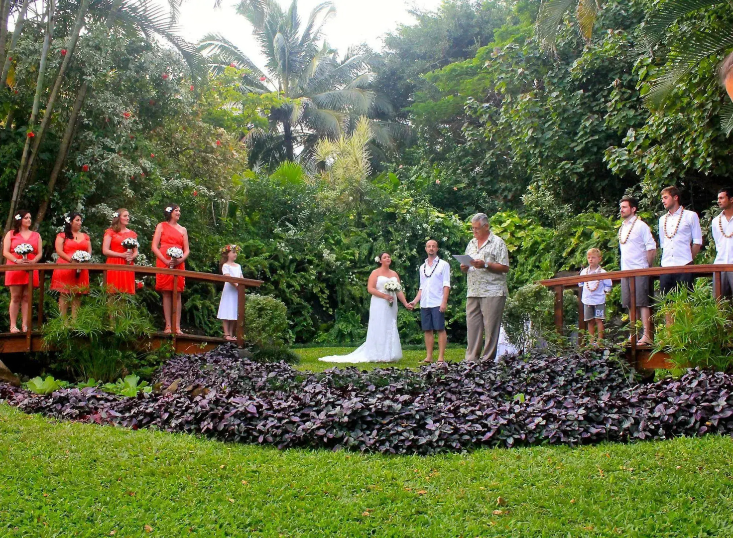 Heliconia Hideaway