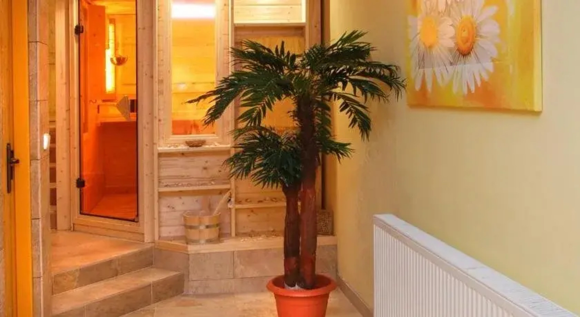 Bila Ruze White Rose