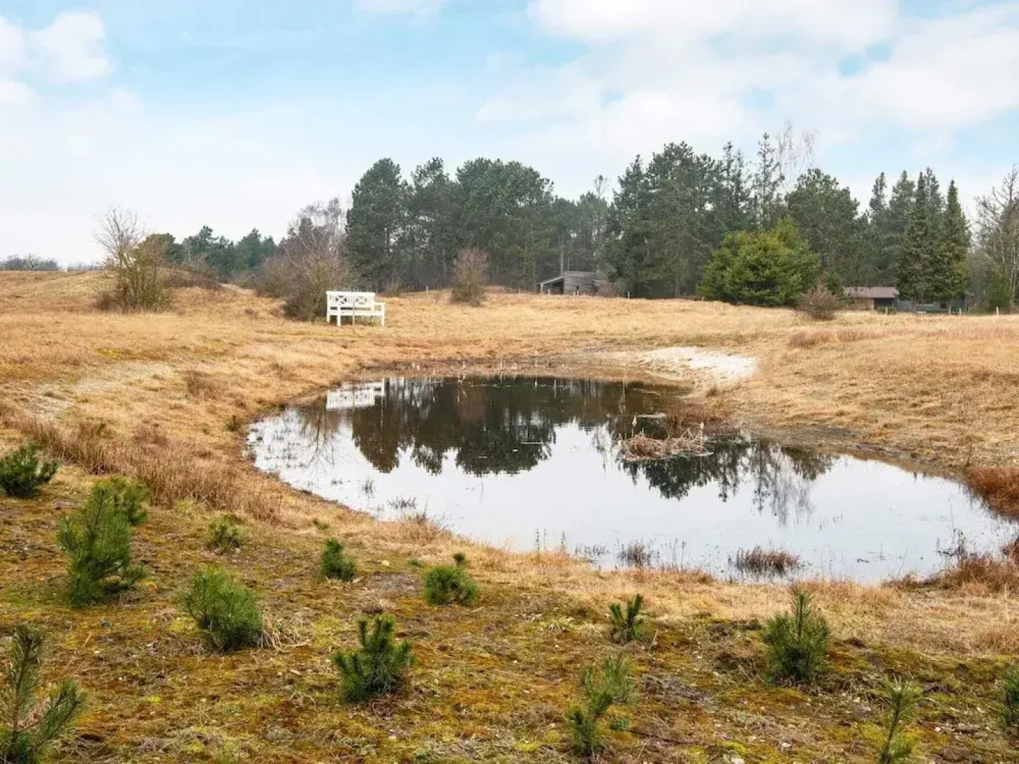 7 Person Holiday Home in Grenaa