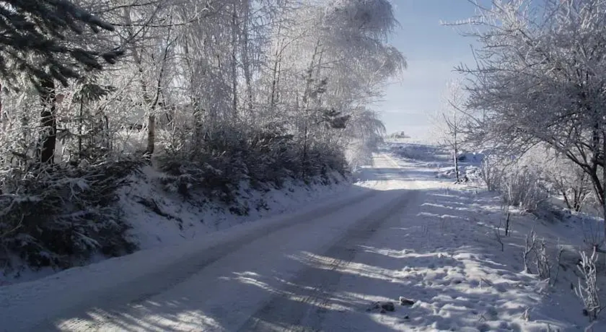 Żabi Dołek - Dom Turystyki Rodzinnej