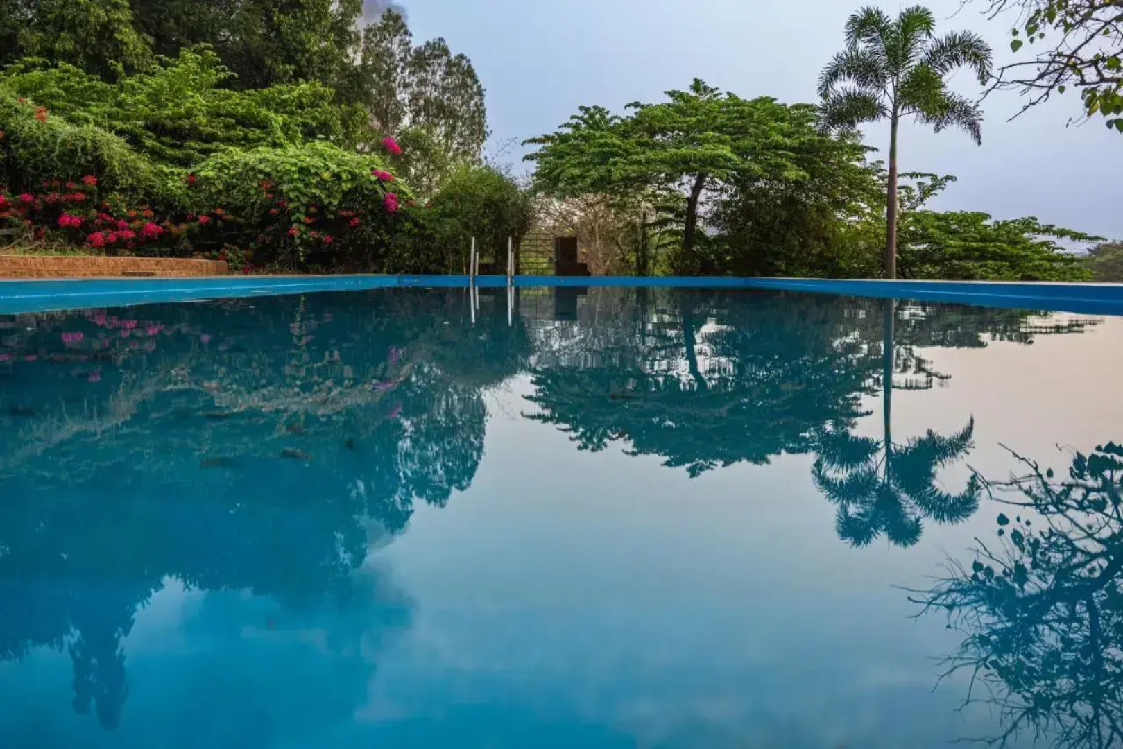 Leo Wooden Resort
