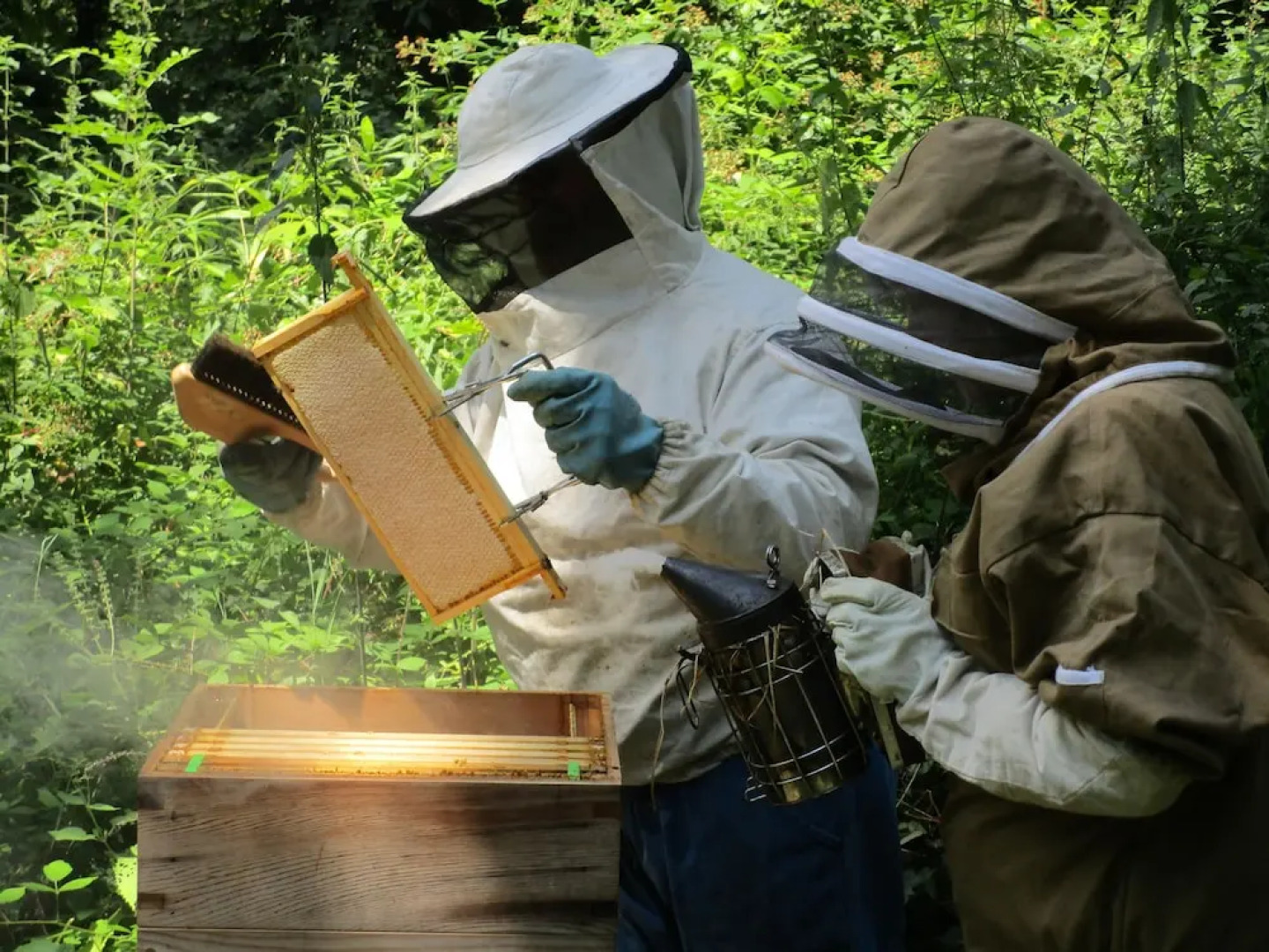 Maison du Vert Rivage - Stang Korvenn