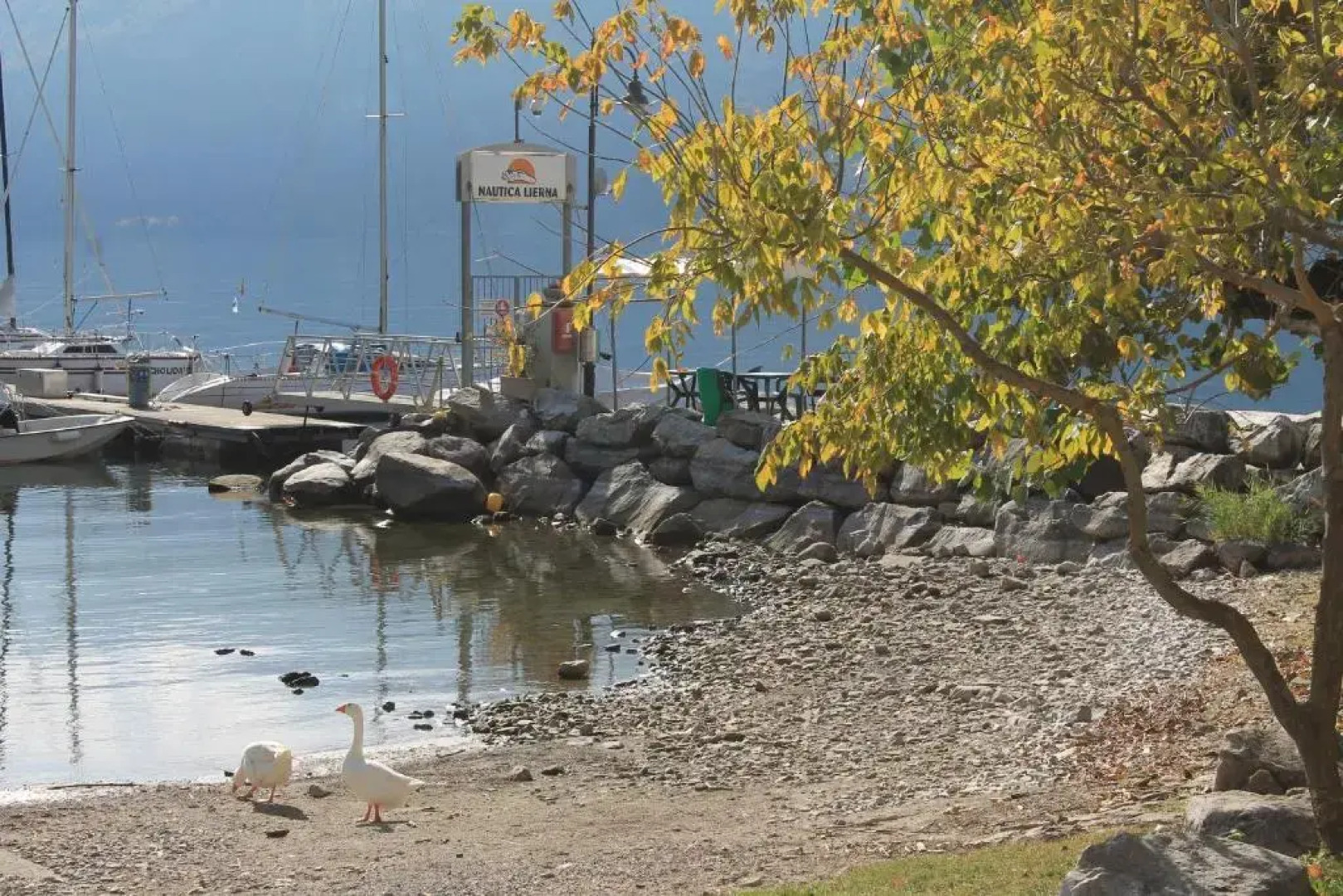 Balcony Lake View Apartment
