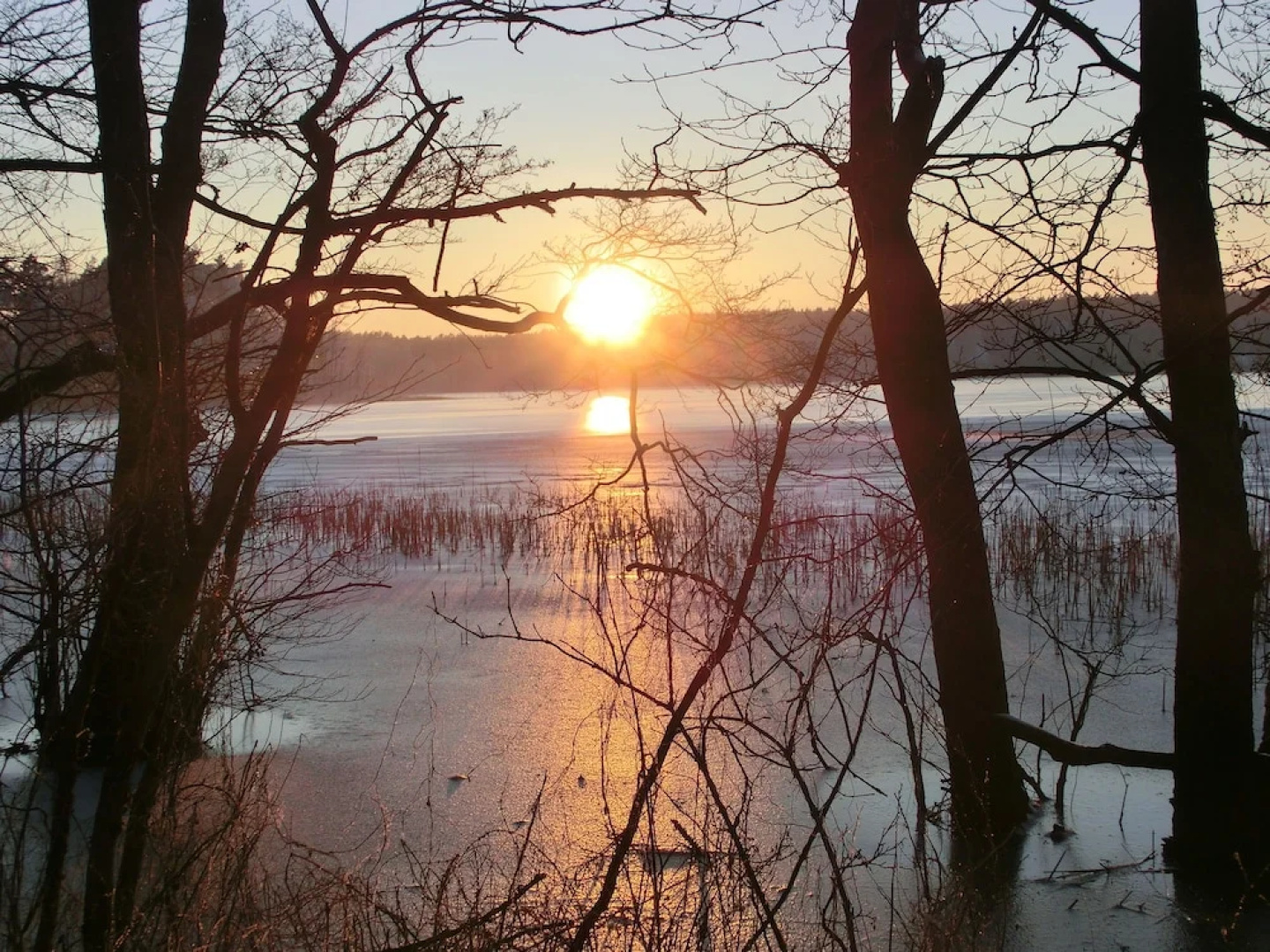 Ferienwohnungen Domäne Neu Gaarz