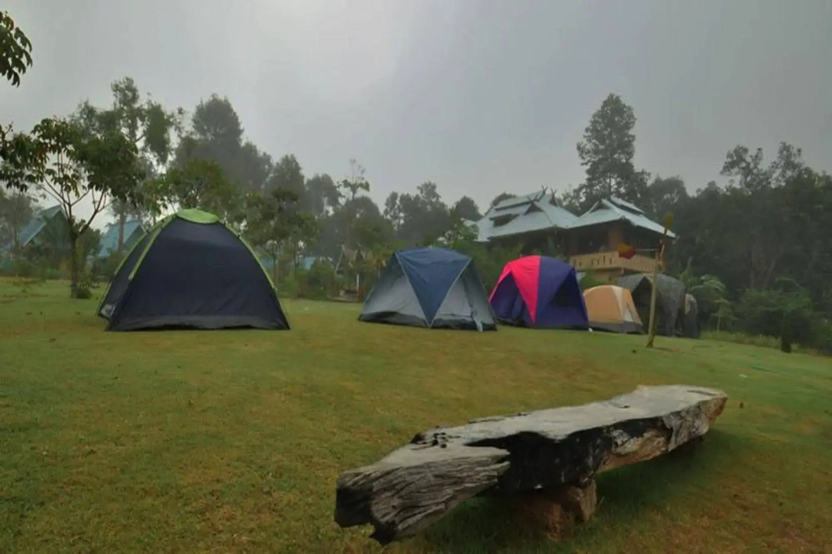 Phuphiangkhiangfah Resort