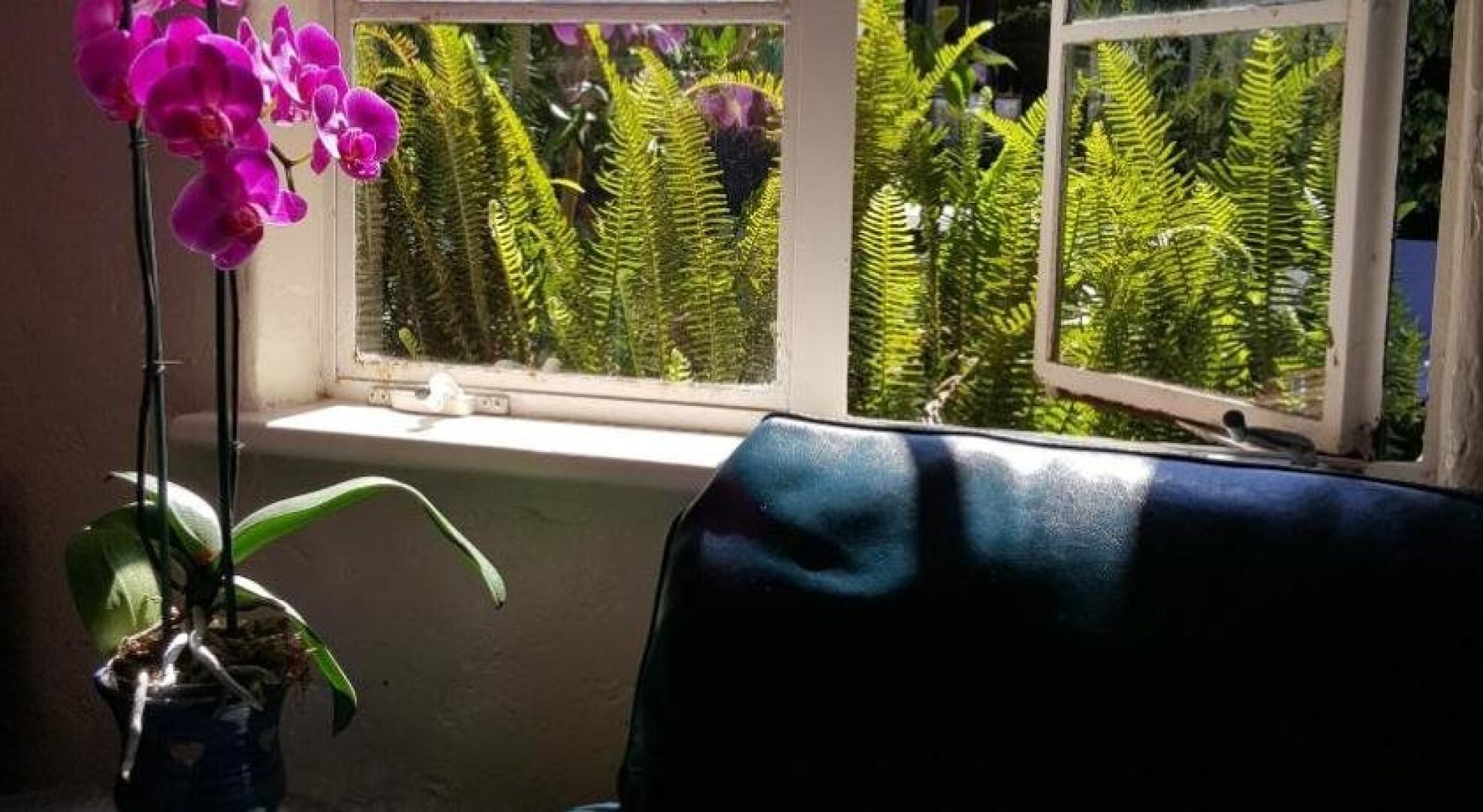 The Vagabond's House