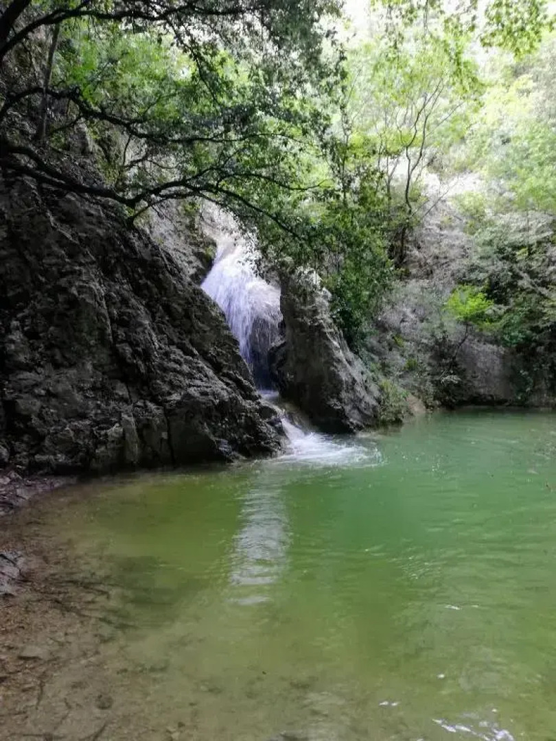 Apartments Mare Losinjska 16