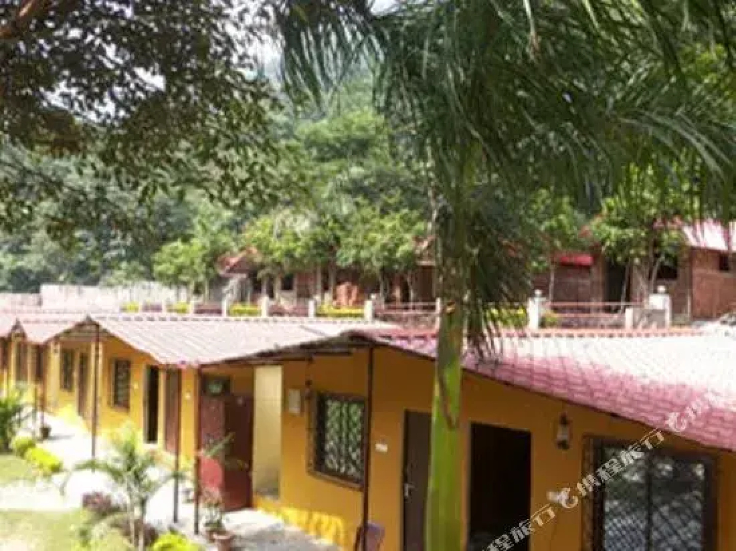 Ojas Resort
