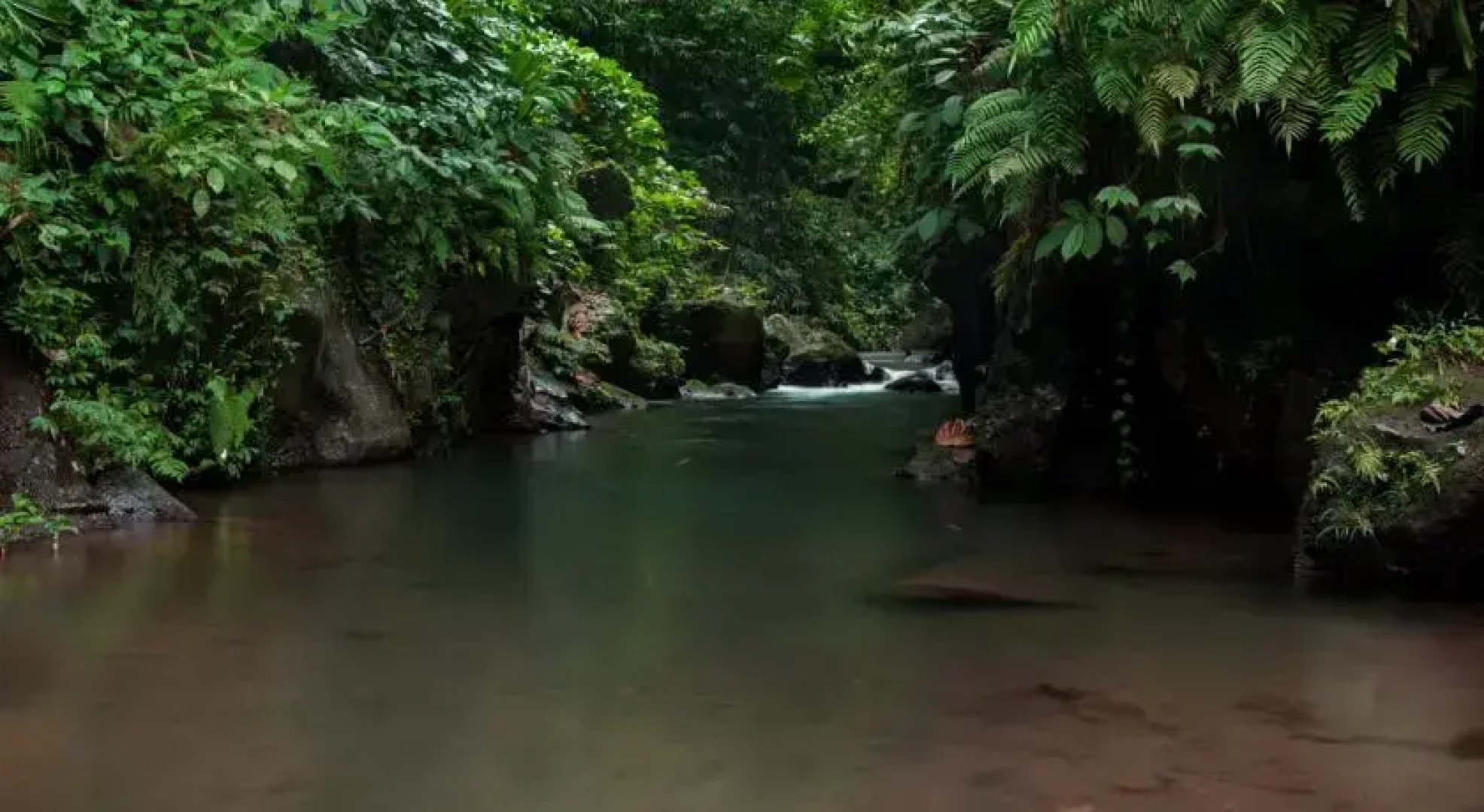 Bali Eco Adventure & Retreat Center