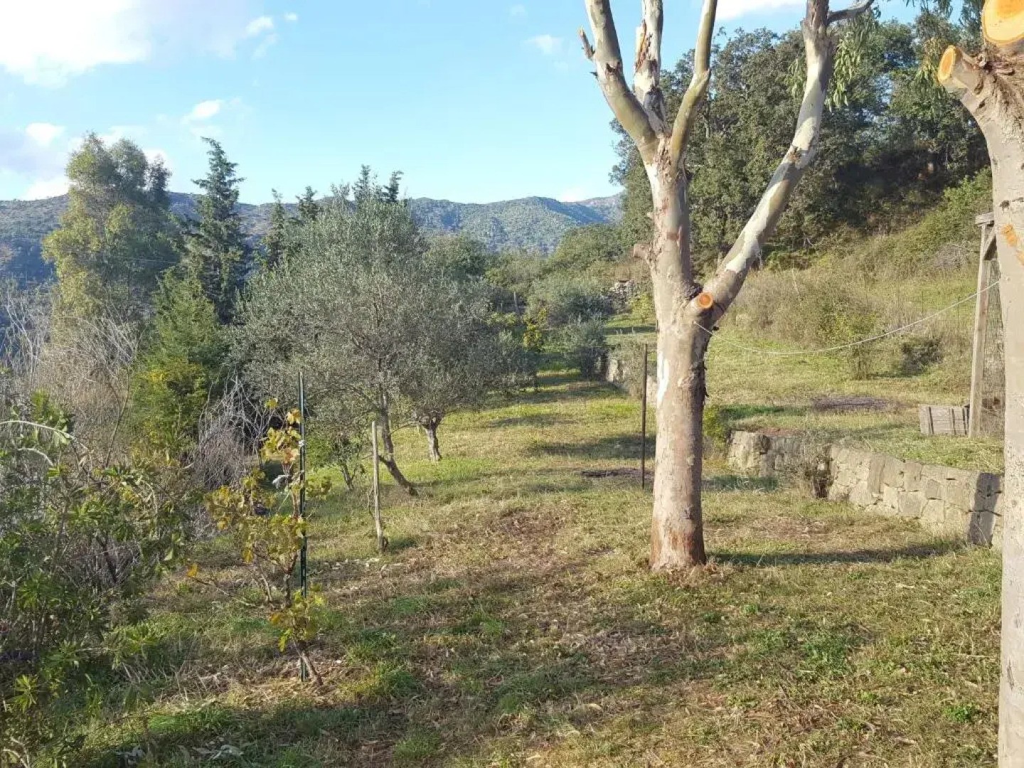 Casa Motta Camastra Sicilië, prive zwembad en free wifi