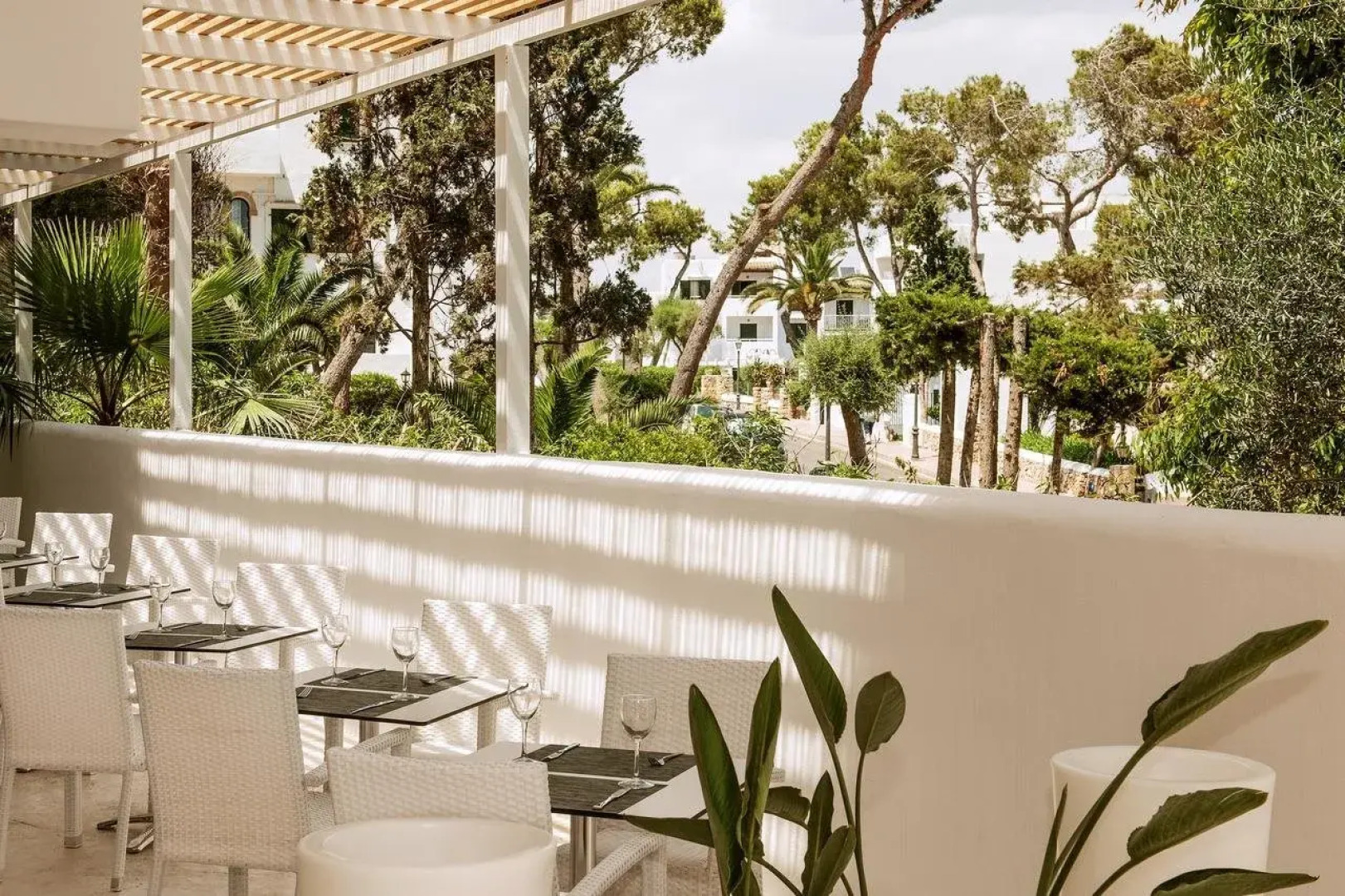 Sentido Fido Tucan - Adults Only