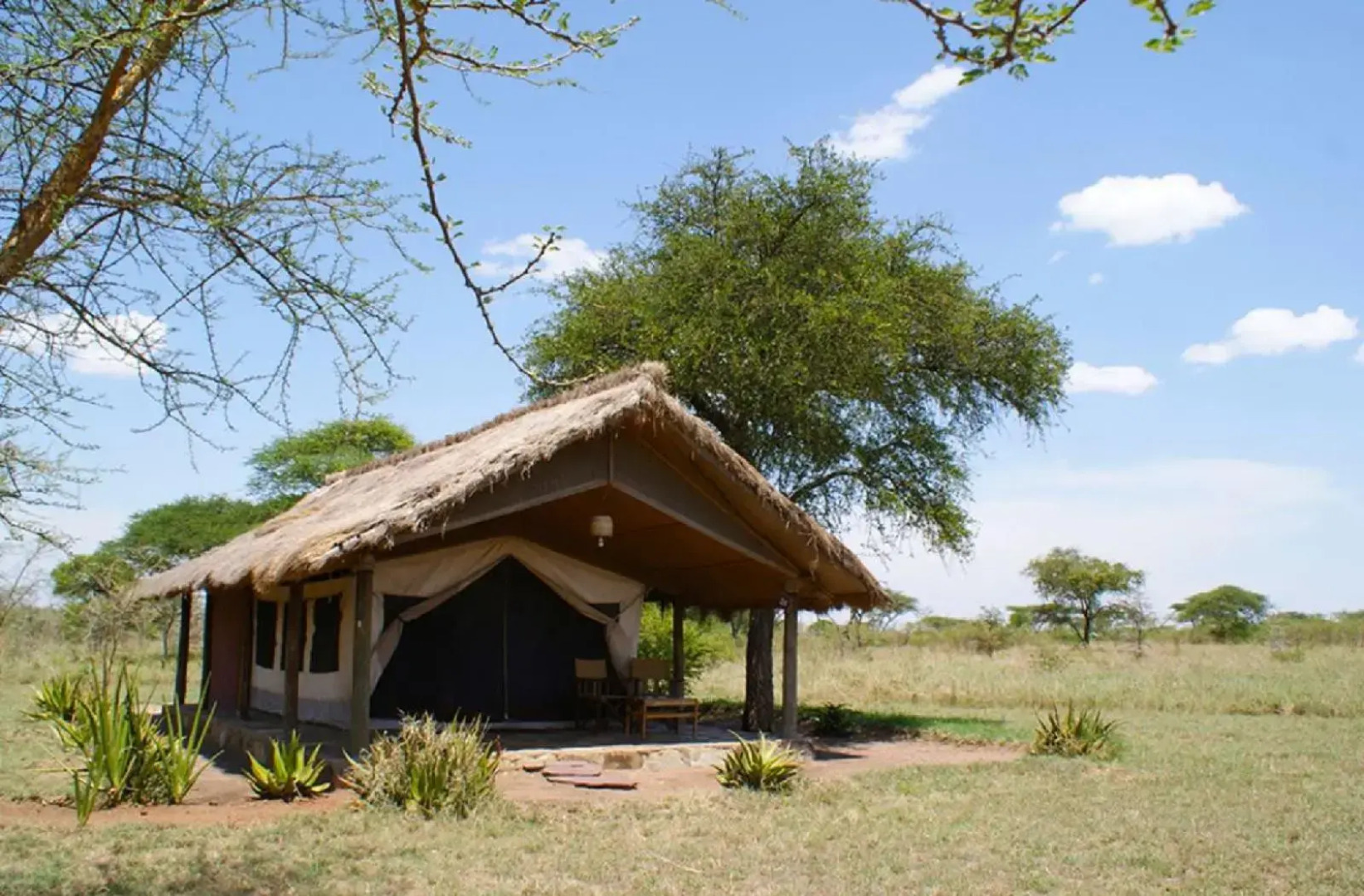 Ikoma tented Camp