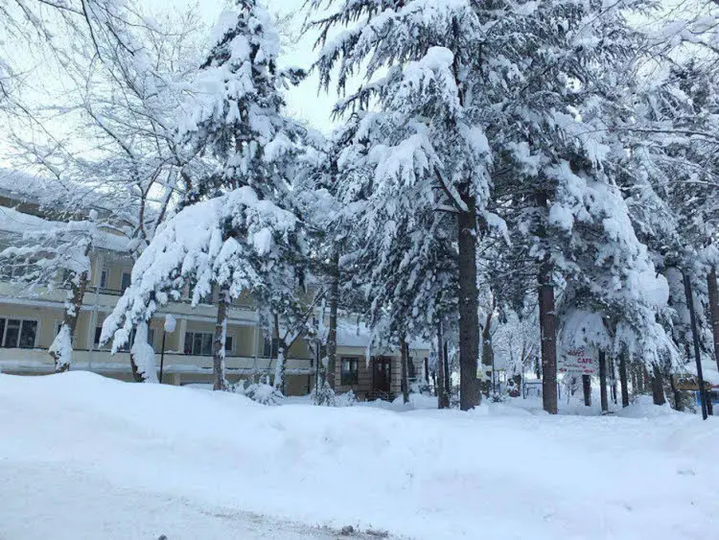 Oylat Kaplicalari Caglayan