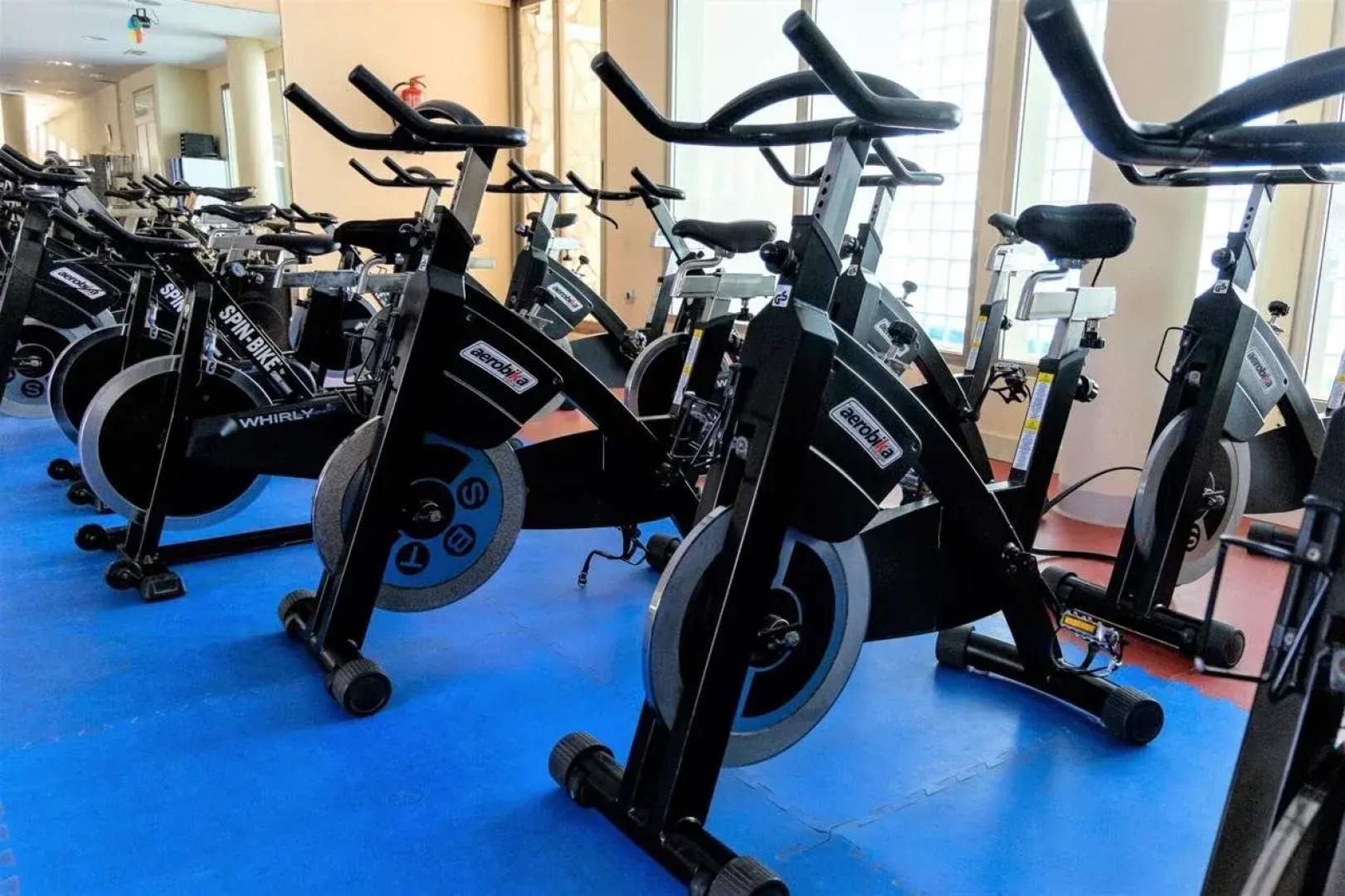 Moon Dreams Portomagno