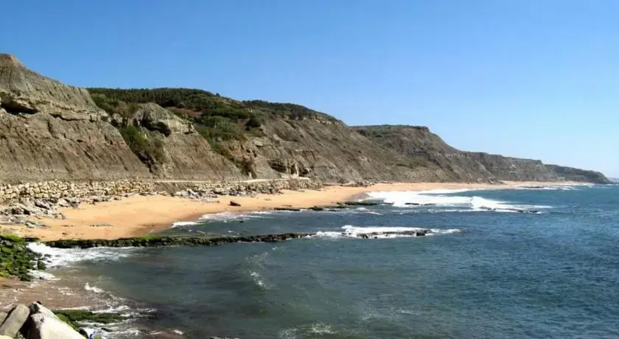 Coral Vacation Rentals (AL)