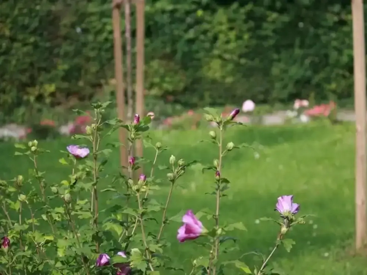 Ferienwohnung am Kurpark