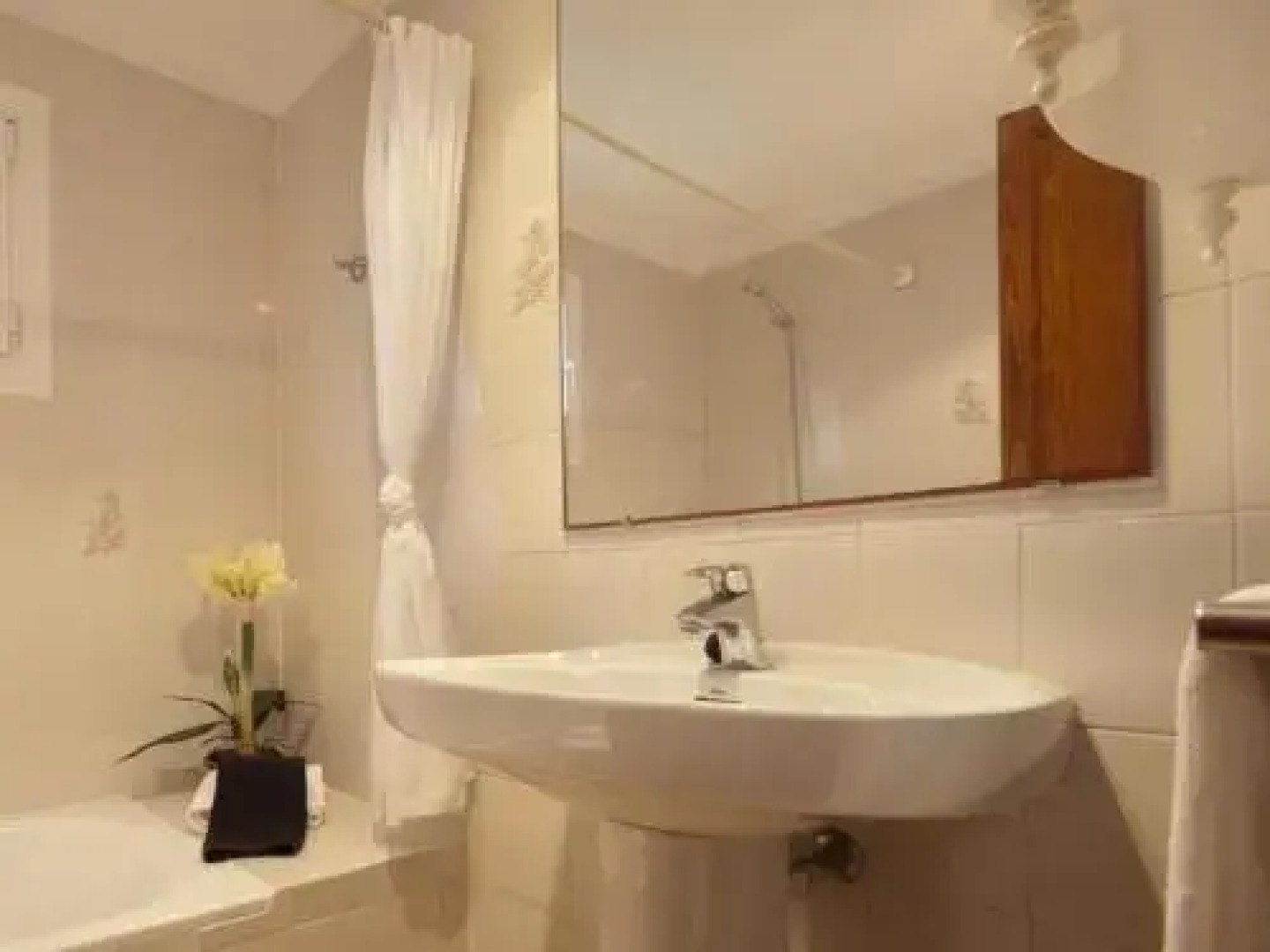 Apartment ELS PINS I -1 dorm Ap nº 7