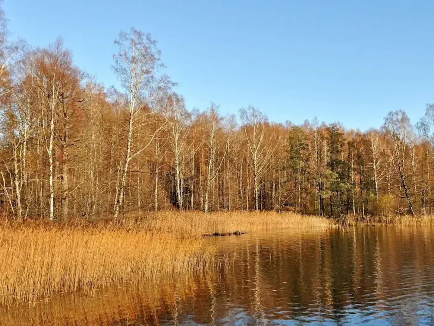 4 Person Holiday Home in Ulfborg-by Traum