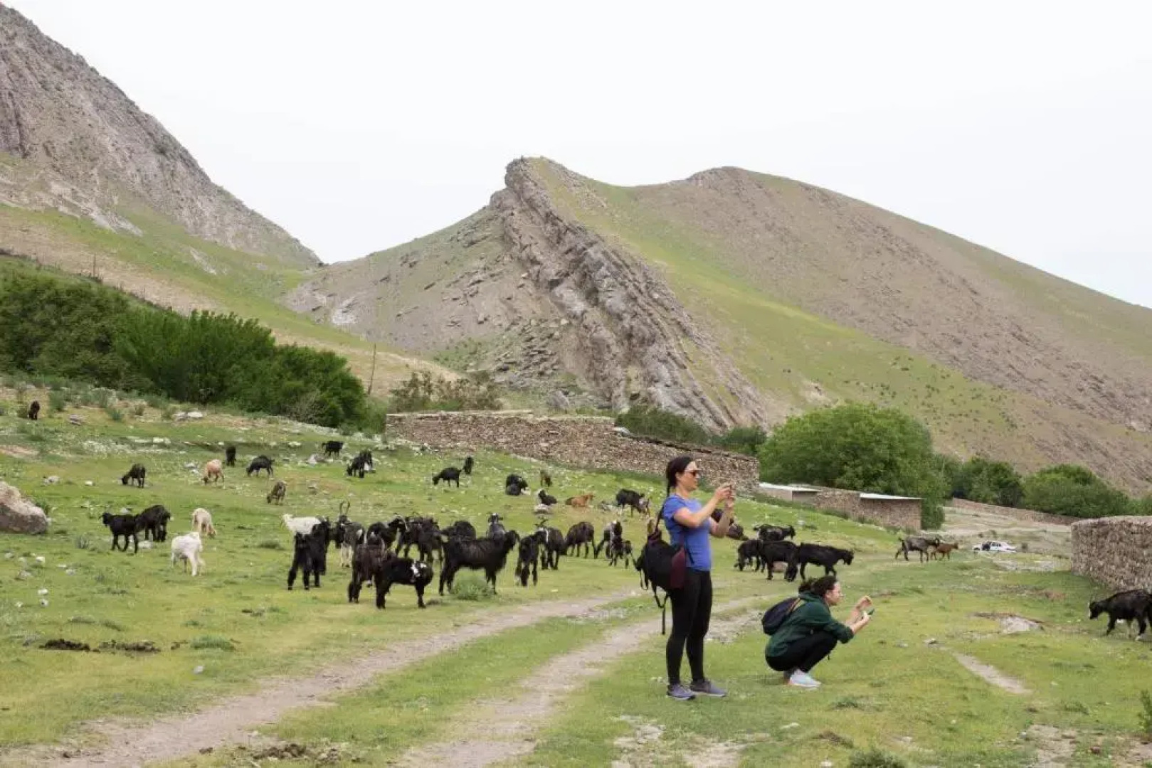 Komil`s homestay in Sentyab village