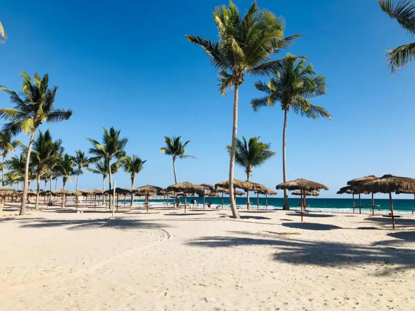 NEW 1-Bedroom in Forest Island + Oceanside View