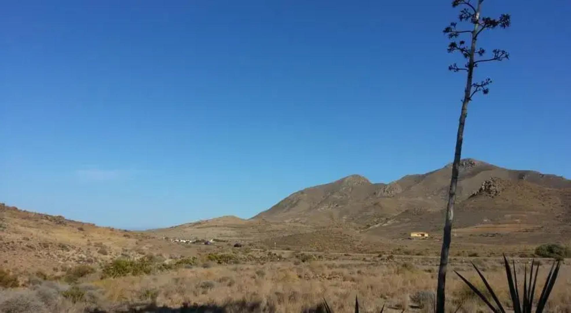 Cabo Nature