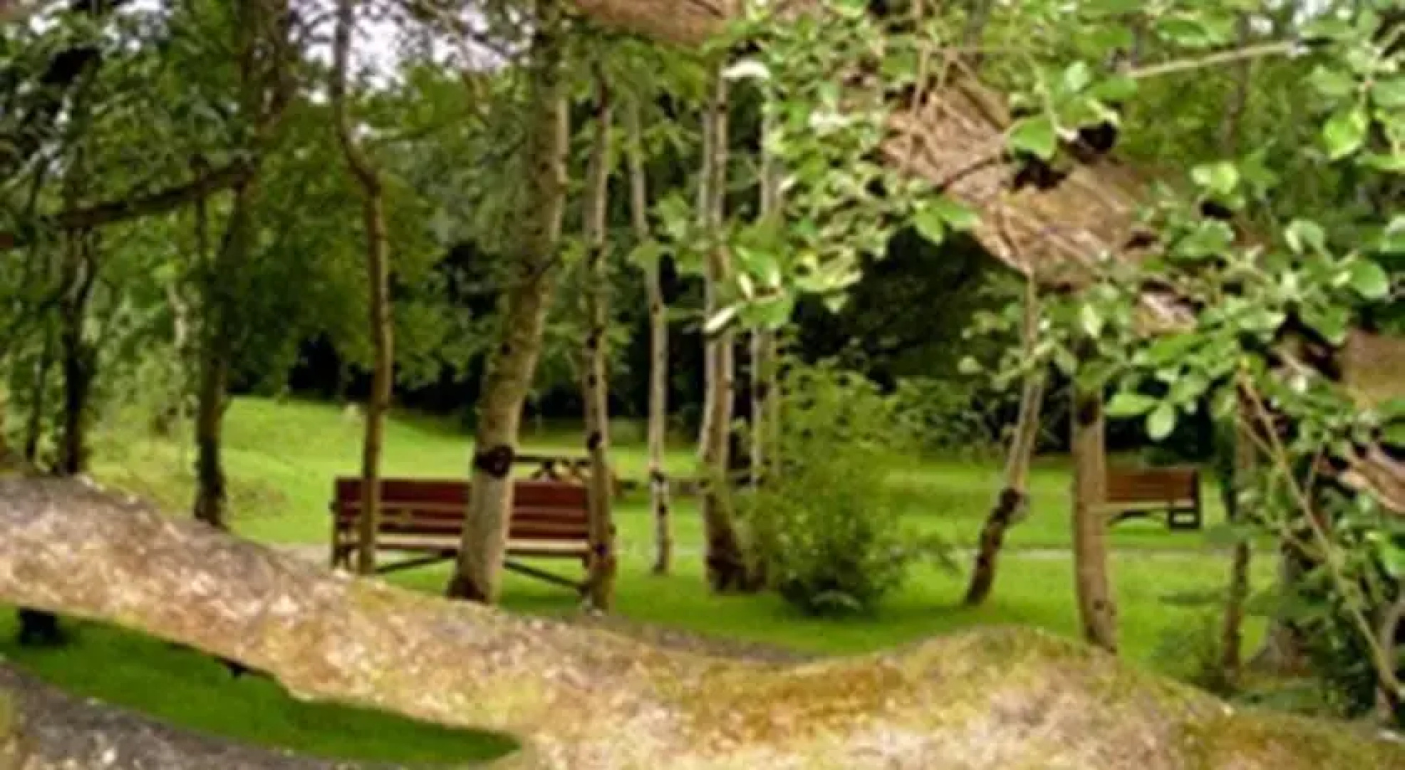 The Benwiskin Centre