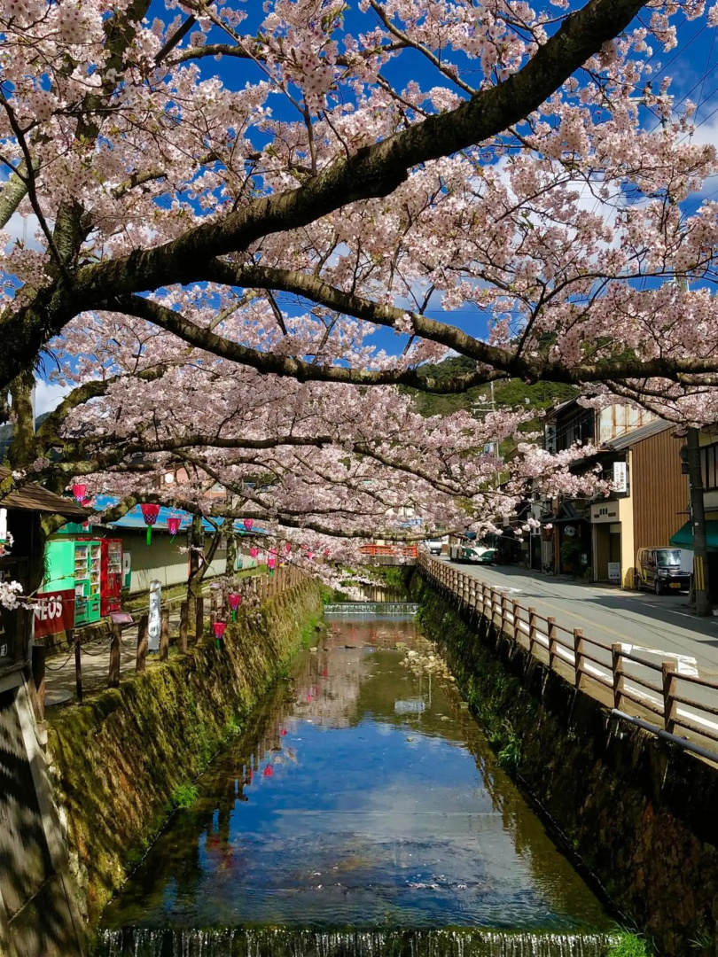 Tsutaya Ryokan