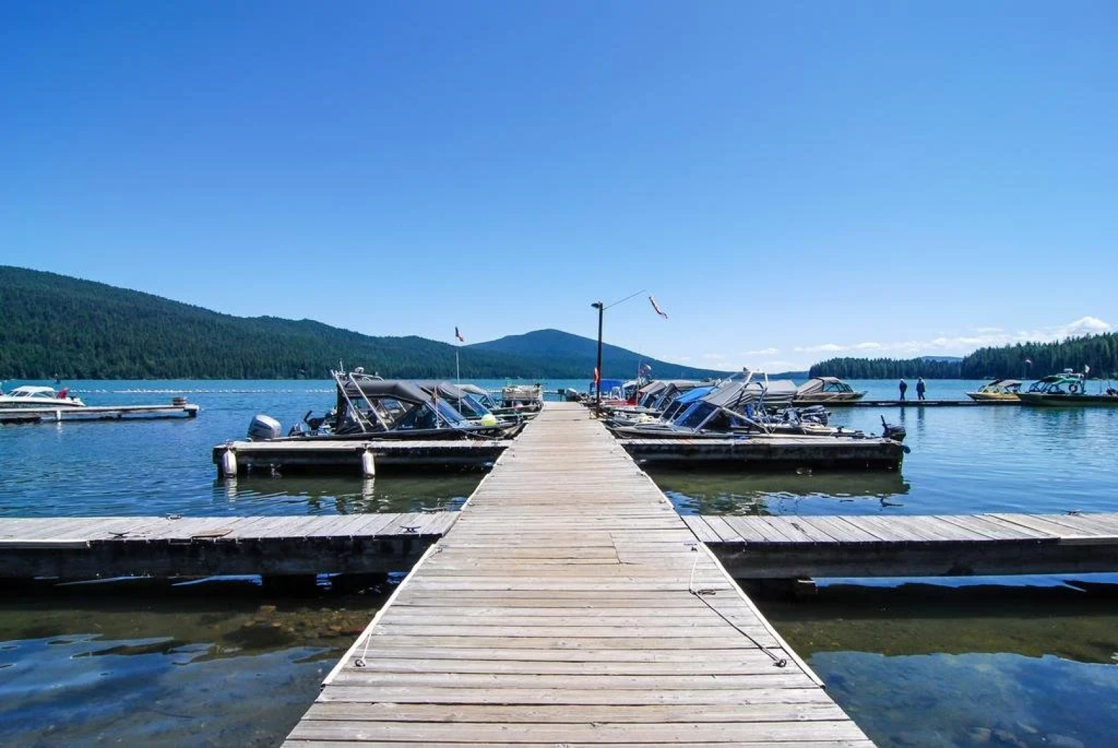 Shelter Cove Resort and Marina