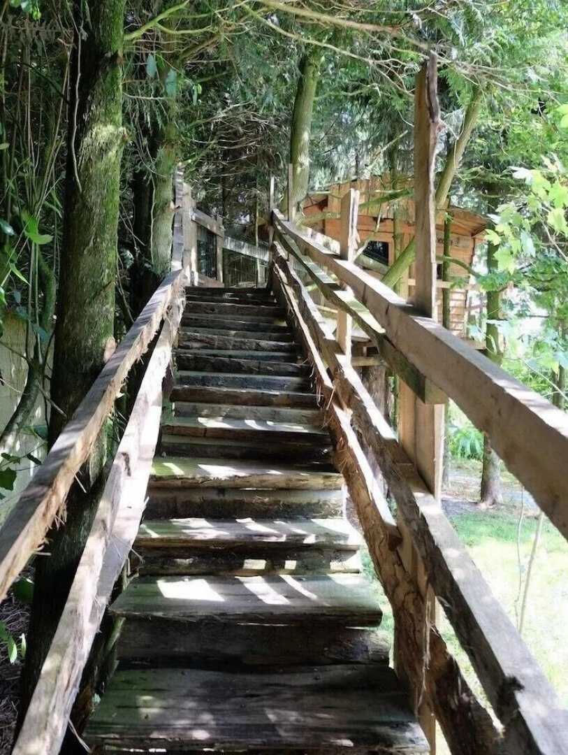 Cabane dans les Arbres - Tree House
