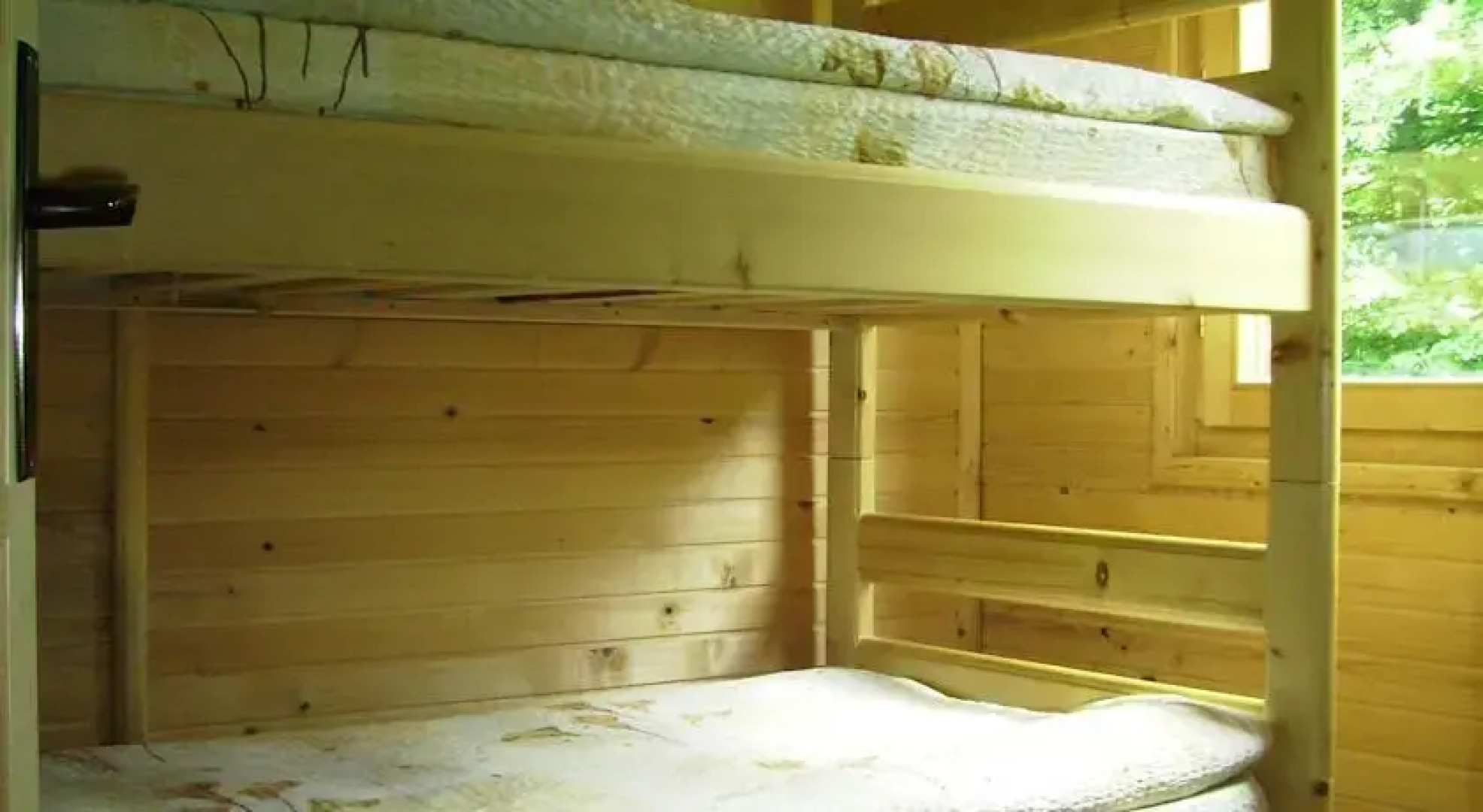 Eko Oaza-Tear of Europe