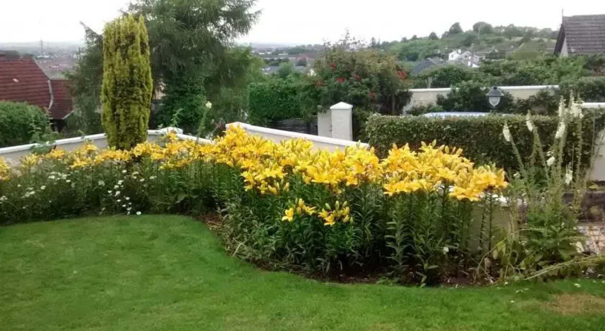 Marymount B&B