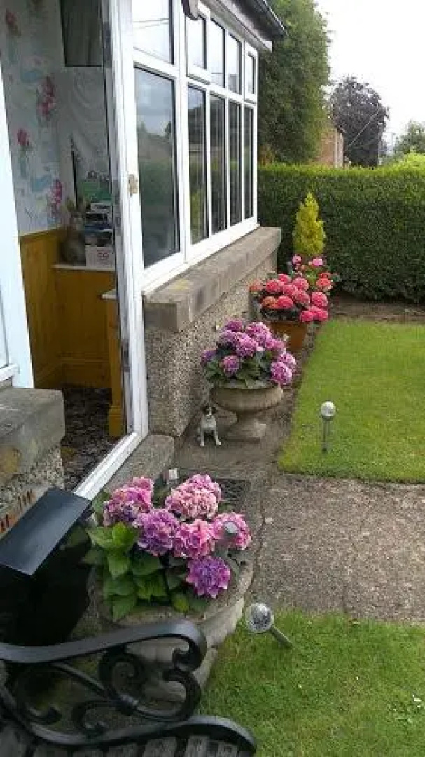 Hillside Bed and Breakfast