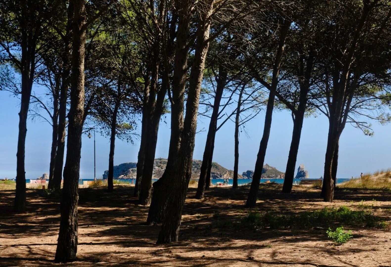 RVApartaments La Pineda