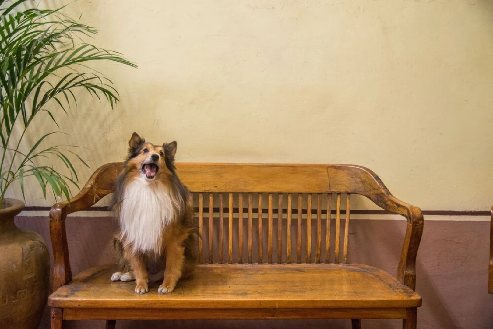 Hotel Posada San Agustin