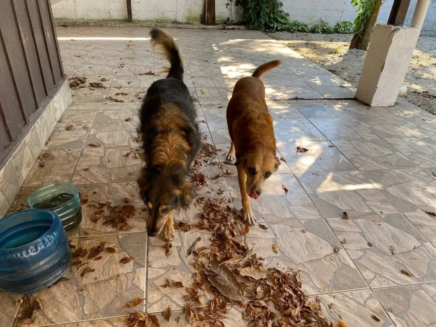 Casa Camping Pontal do Sul - Com Piscina - Hostel