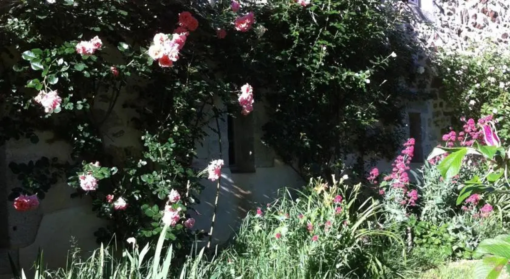 Domaine des Cazottes