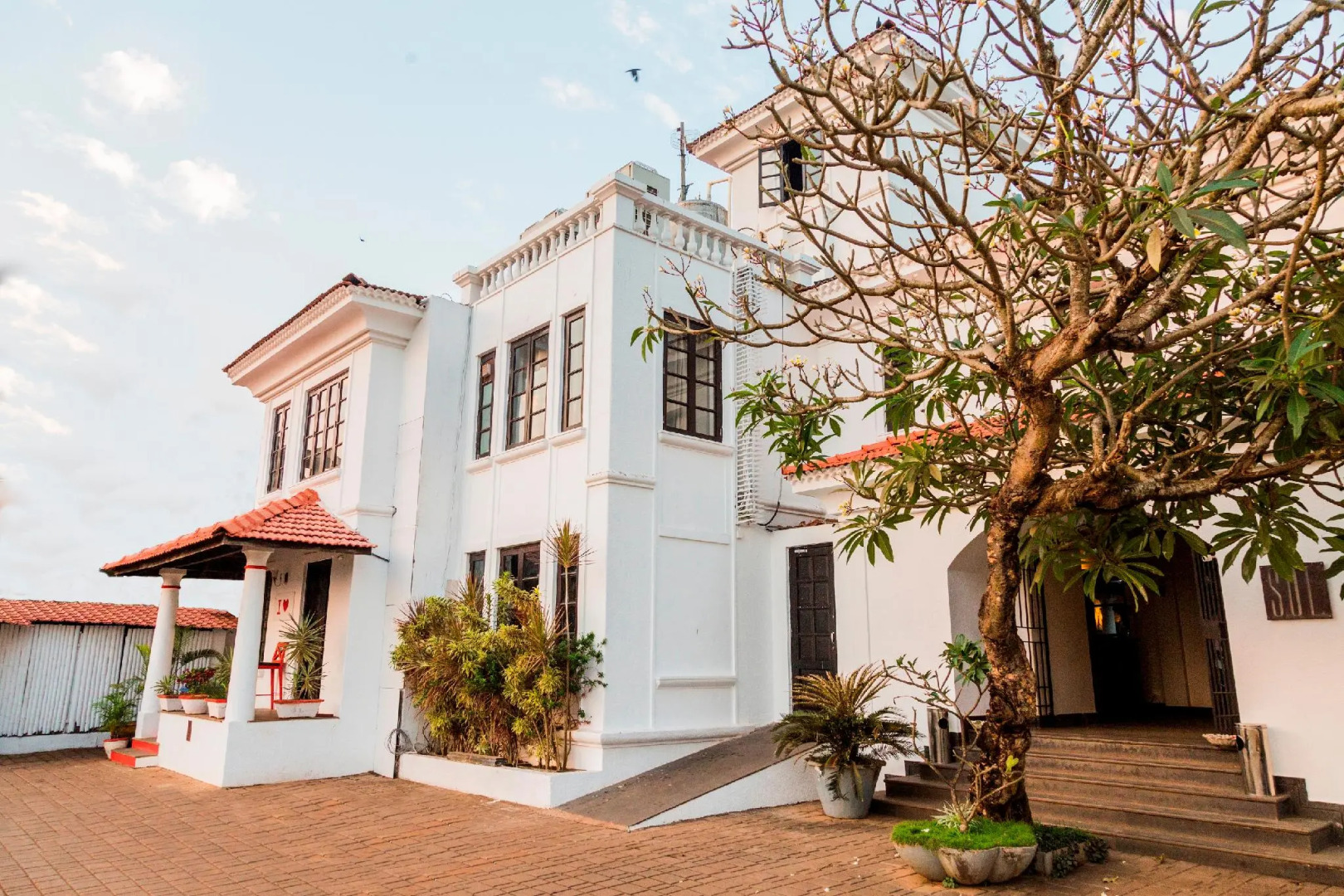 Sol De Goa by Sereno