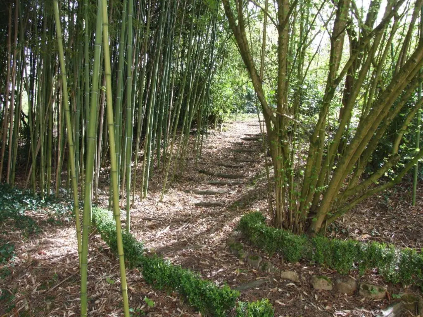 Château de Beaulieu