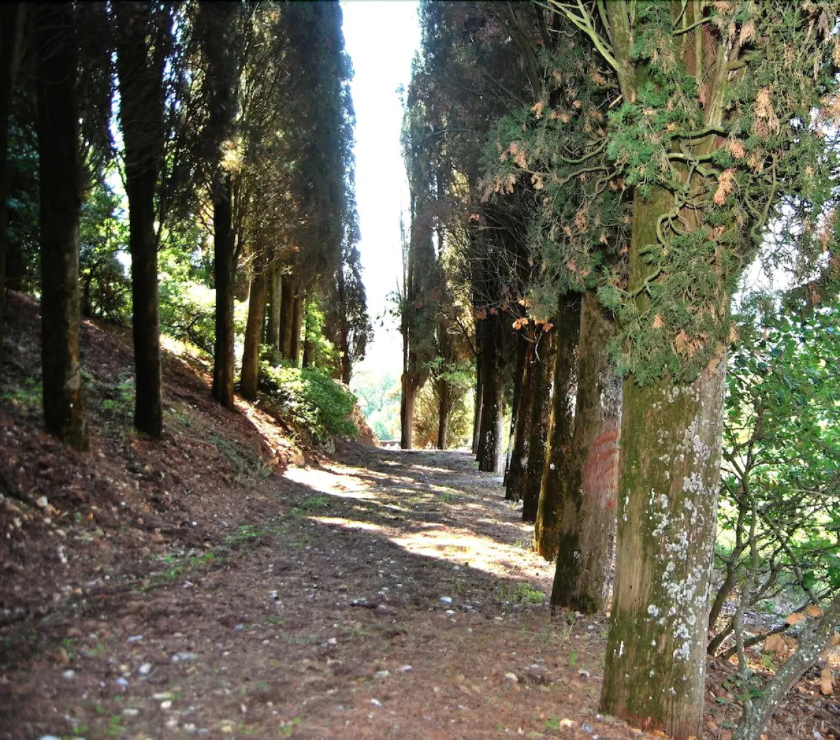 Verdidea - MONTE SANTO & TORRINO